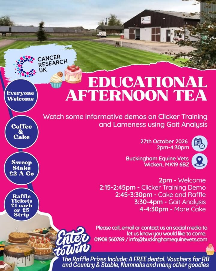 𝗟𝗲𝘀𝘀 𝘁𝗵𝗮𝗻 𝗮 𝘄𝗲𝗲𝗸 𝘁𝗼 𝗴𝗼! 𝗔 𝗹𝗶𝘁𝘁𝗹𝗲 𝗿𝗲𝗺𝗶𝗻𝗱𝗲𝗿 𝗮𝗯𝗼𝘂𝘁 𝗼𝘂𝗿 𝗮𝗳𝘁𝗲𝗿𝗻𝗼𝗼𝗻